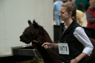 Alpaca Jubilee